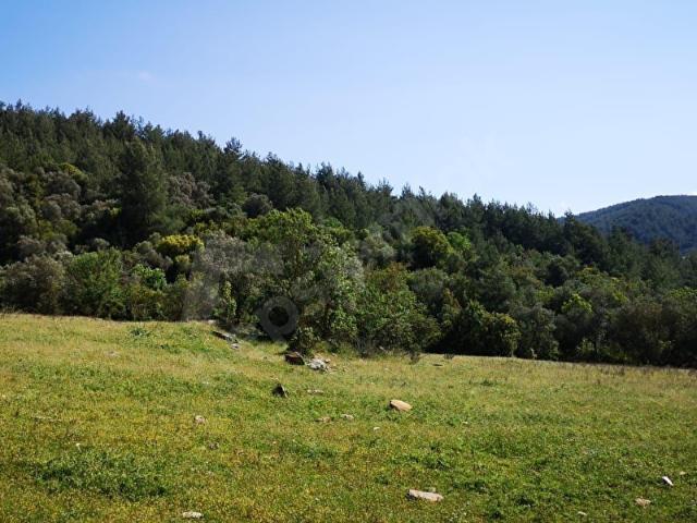 Milas, Muğla içerisinde satılık Arsa