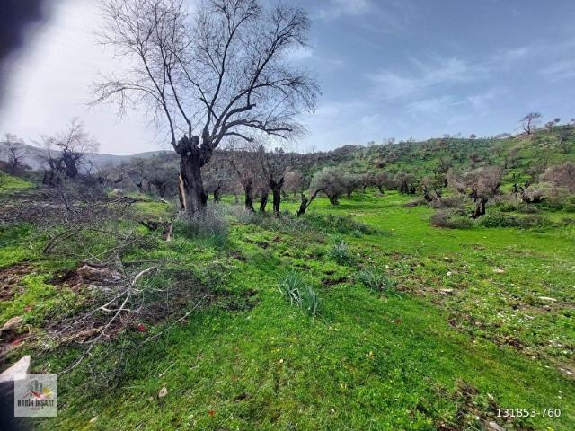 Milas, Muğla içerisinde satılık mülk