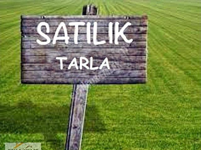Ortaca, Muğla içerisinde satılık Arsa