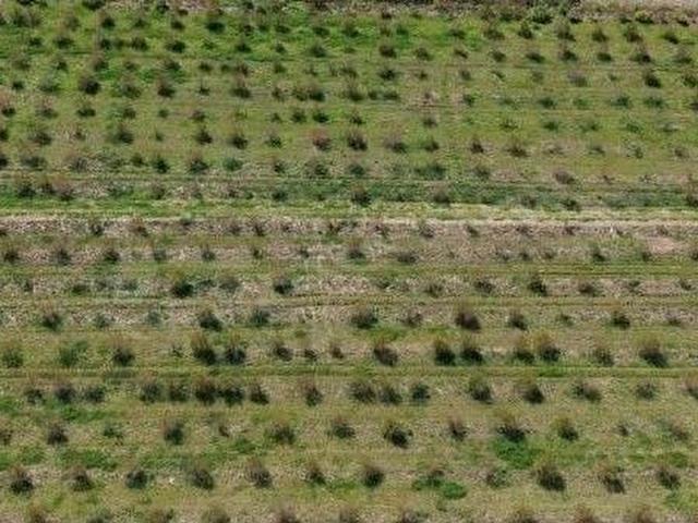 Ortaca, Muğla içerisinde satılık mülk
