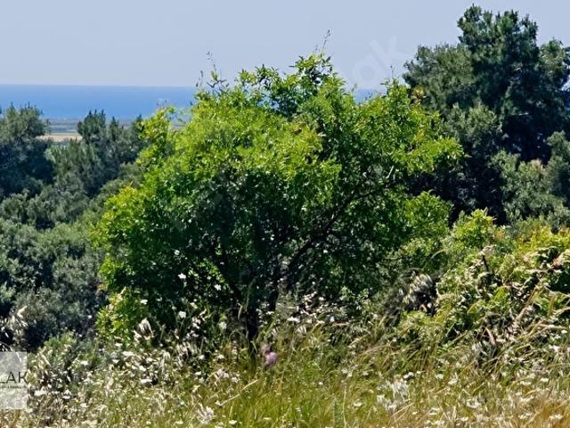Ortaca, Muğla içerisinde satılık mülk