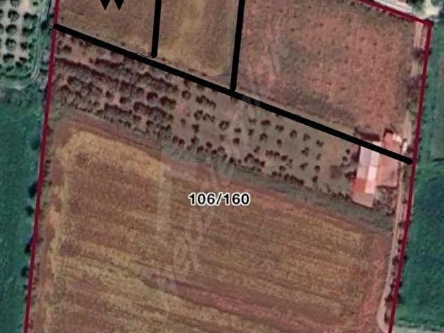 Ortaca, Muğla içerisinde satılık Arsa