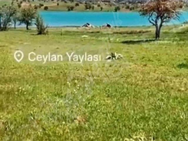 Muğla içerisinde satılık mülk