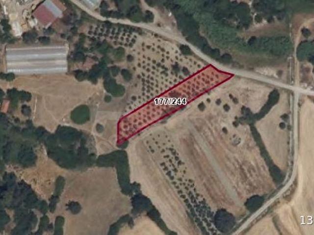 Muğla içerisinde satılık Arsa
