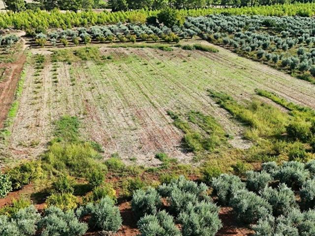Fethiye, Muğla içerisinde satılık Arsa