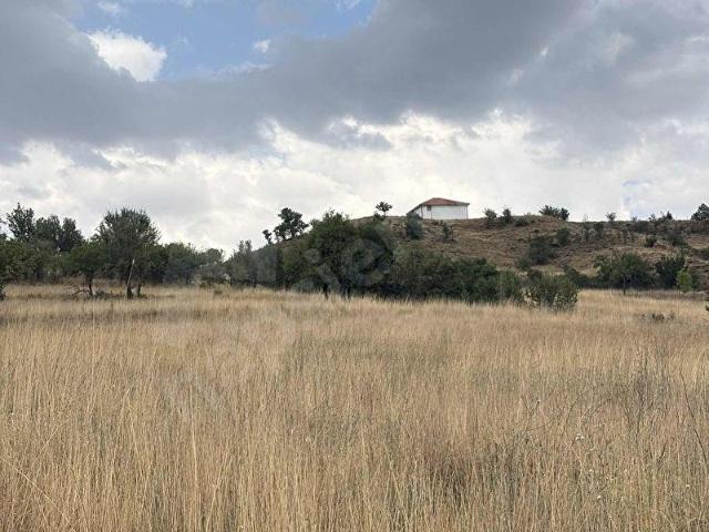 Muğla içerisinde satılık Arsa