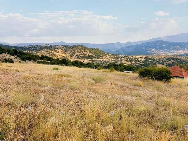 Muğla içerisinde satılık Arsa