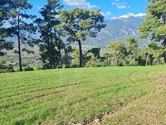 Muğla içerisinde satılık Arsa
