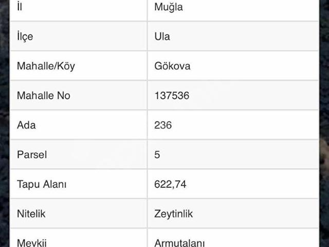 Ula, Muğla içerisinde satılık mülk