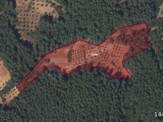 Ula, Muğla içerisinde satılık Arsa