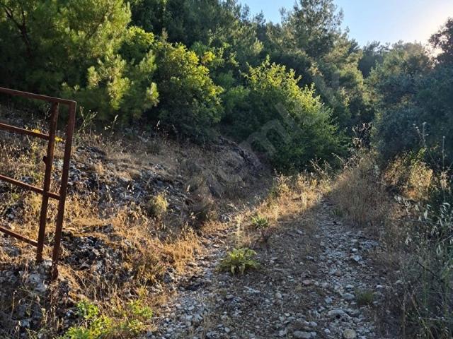 Muğla içerisinde satılık Arsa