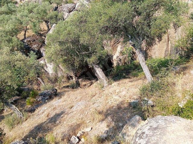 Yatağan, Muğla içerisinde satılık mülk