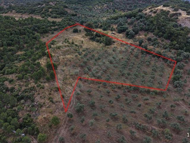 Yatağan, Muğla içerisinde satılık Arsa