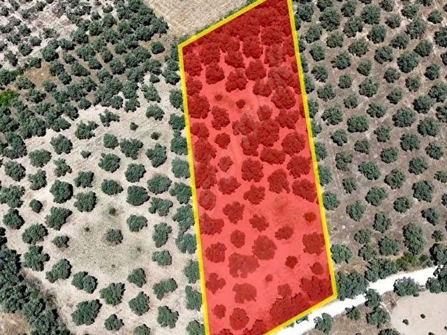 Yatağan, Muğla içerisinde satılık mülk