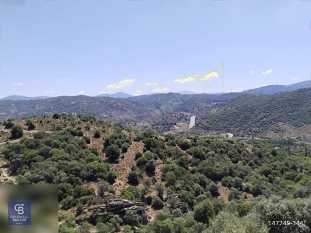 Muğla Merkez, Muğla içerisinde satılık mülk