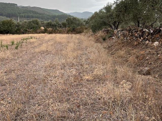 Zeytinköy, Yatağan içerisinde satılık Arsa
