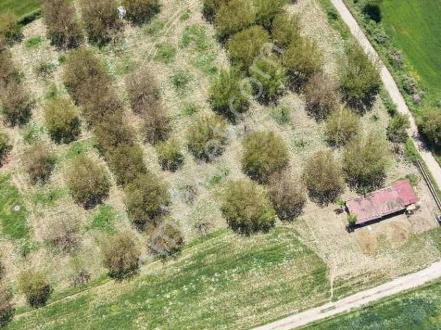 Muğla içerisinde satılık Villa