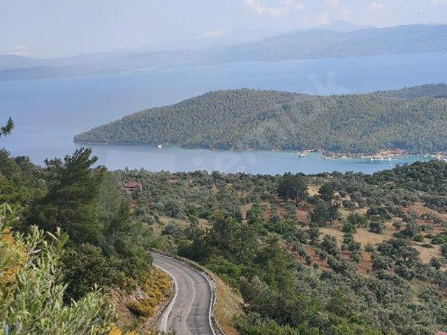 Muğla içerisinde satılık mülk