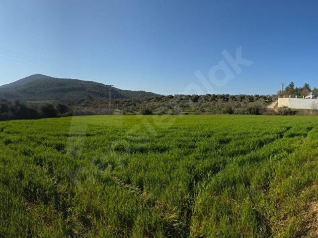 Muğla, Menteşe içerisinde satılık Dükkan