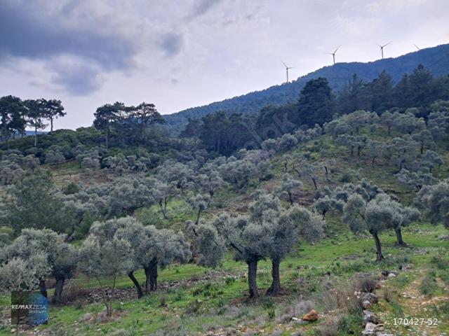 Pınarcık, Milas içerisinde satılık mülk