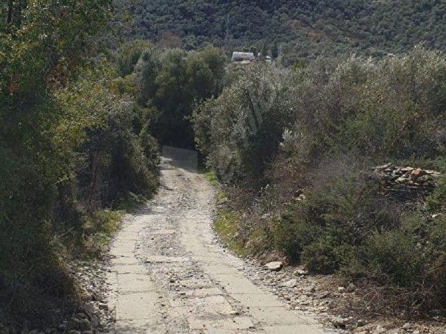 Milas, Muğla içerisinde satılık mülk