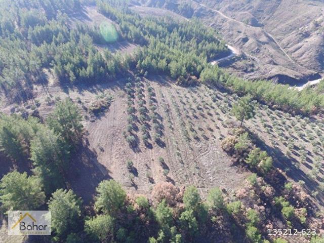 Alanyurt, Kale içerisinde satılık Arsa