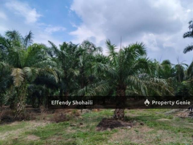 Property for sale in Muar, Johor