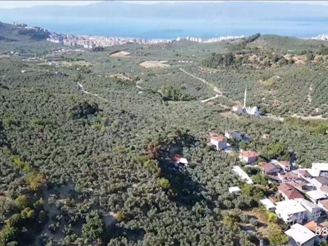 Mudanya, Bursa içerisinde satılık Arsa