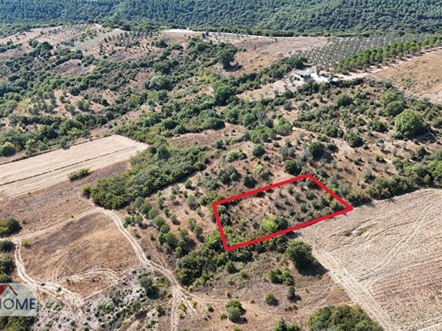Mudanya, Bursa içerisinde satılık Arsa