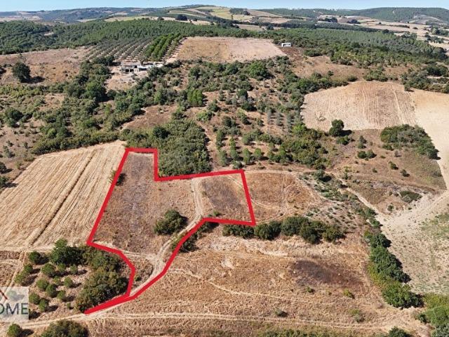 Mudanya, Bursa içerisinde satılık Arsa