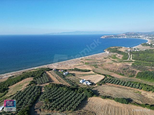 Mudanya, Bursa içerisinde satılık Arsa