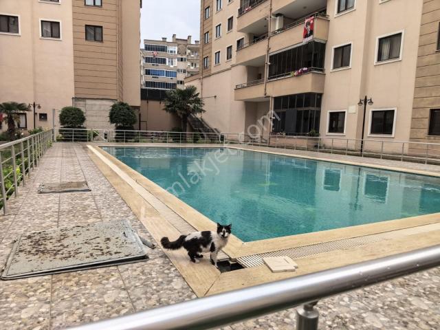 Mudanya, Bursa içerisinde kiralık mülk