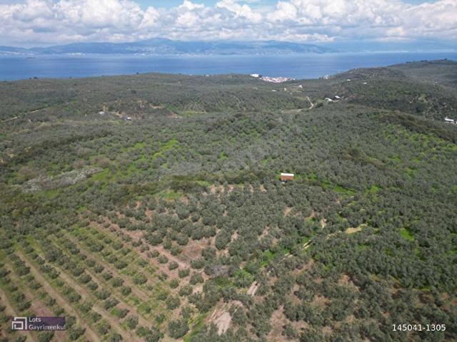 Mudanya, Bursa içerisinde satılık mülk