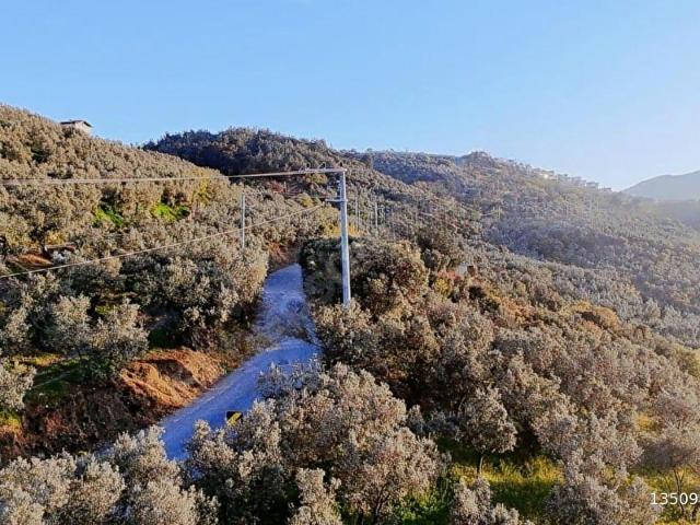 Mudanya, Bursa içerisinde satılık mülk
