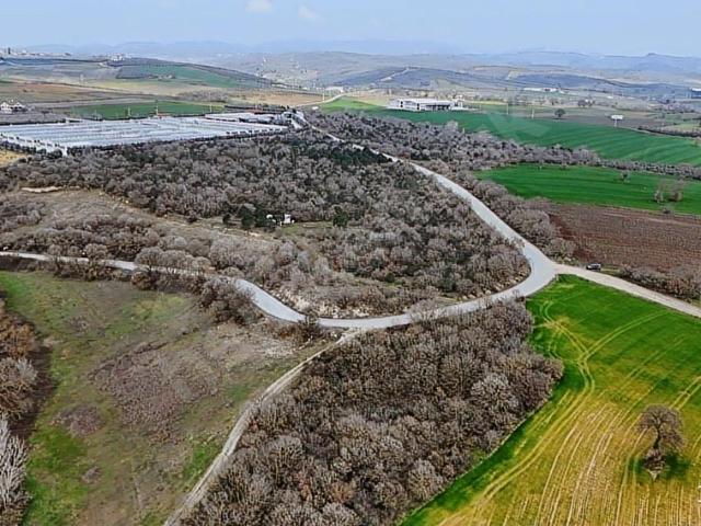 Mudanya, Bursa içerisinde satılık Arsa