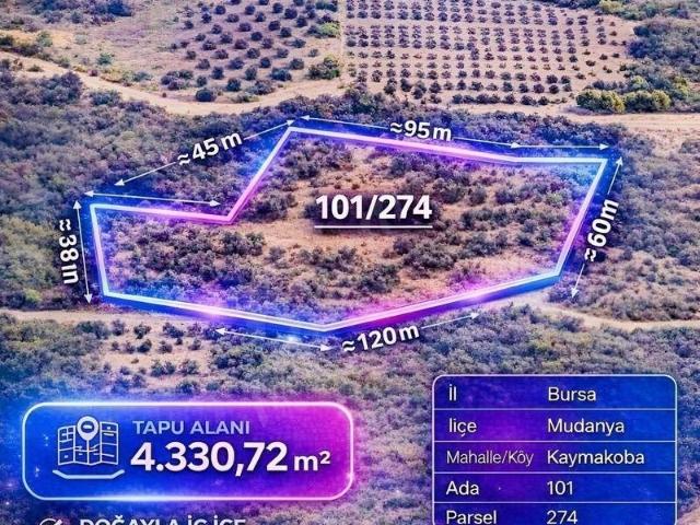Mudanya, Bursa içerisinde satılık mülk
