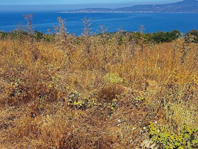 Mudanya, Bursa içerisinde satılık mülk