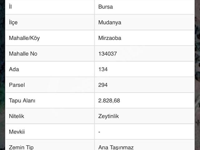 Mudanya, Bursa içerisinde satılık mülk