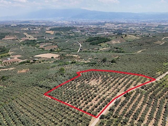 Mudanya, Bursa içerisinde satılık Arsa