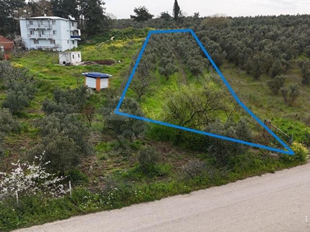 Mudanya, Bursa içerisinde satılık mülk