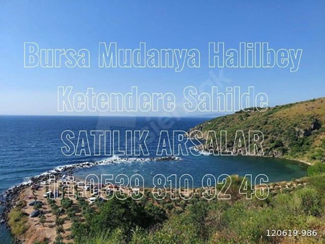 Mudanya, Bursa içerisinde satılık Arsa