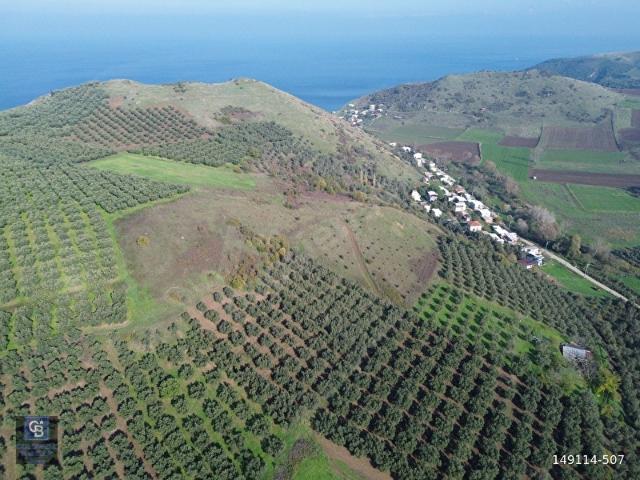 Mudanya, Bursa içerisinde satılık mülk