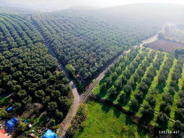 Mudanya, Bursa içerisinde satılık Arsa