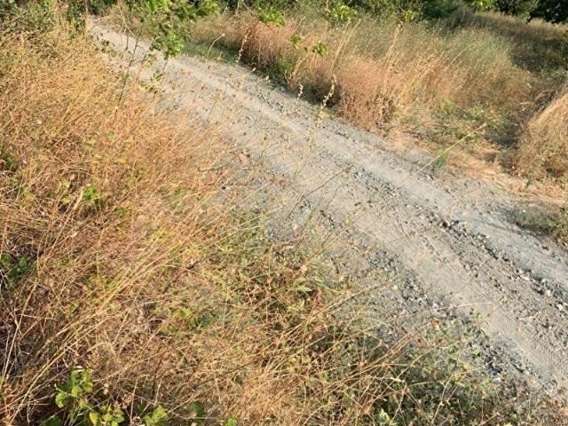 Mudanya, Bursa içerisinde satılık Arsa