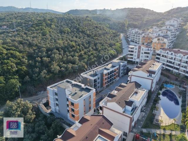 Halitpaşa, Mudanya içerisinde kiralık mülk