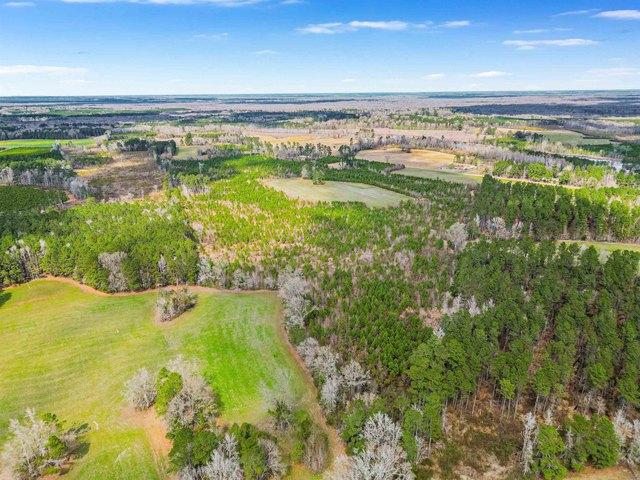 Land for sale in Johnsonville, South Carolina