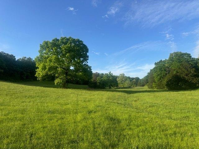 Land for sale in Ark