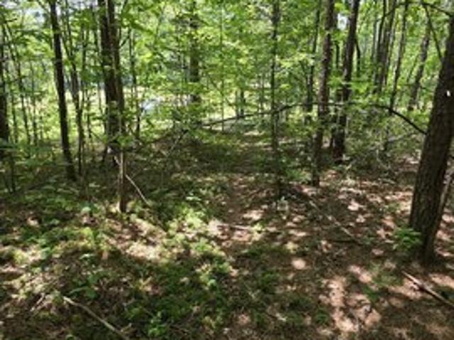 Land for sale in Louisa, Kentucky