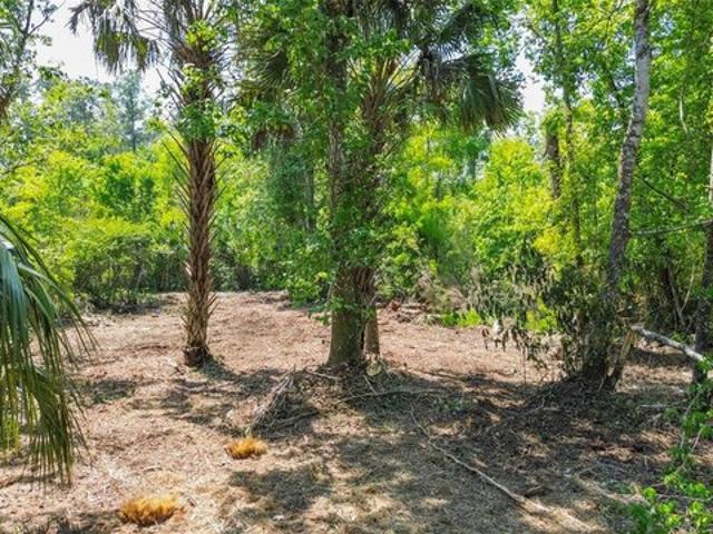 Land for sale in Thonotosassa, Florida