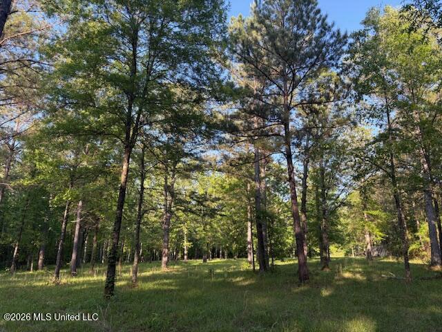 Land for sale in Lake, Mississippi